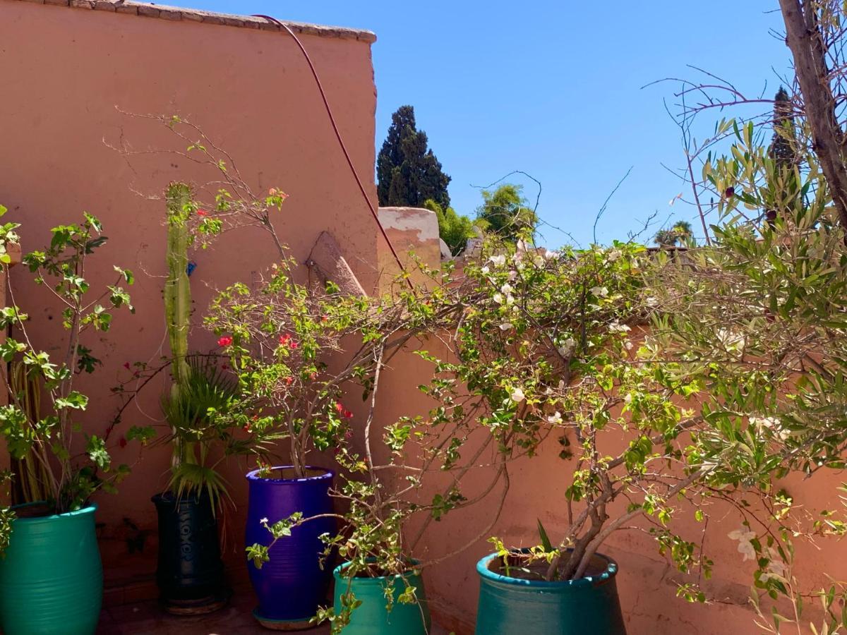 Dar Zemrane Hotel Marrakesh Exterior photo