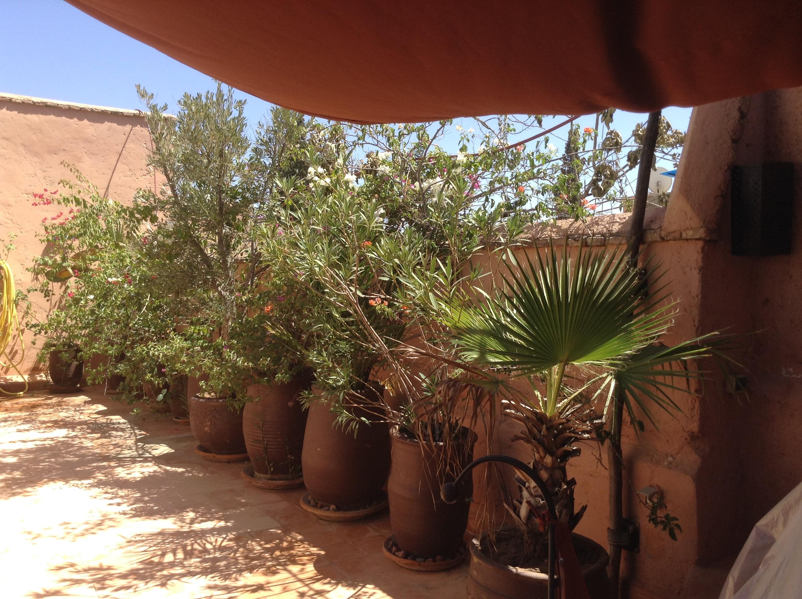 Dar Zemrane Hotel Marrakesh Exterior photo