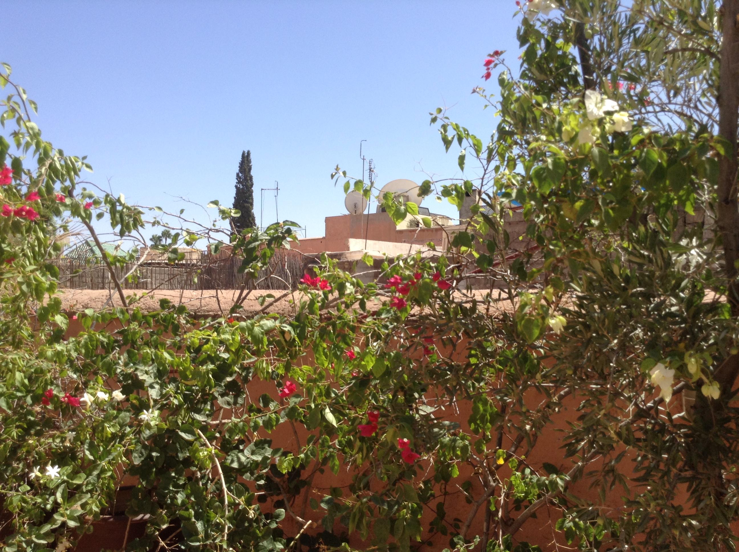 Dar Zemrane Hotel Marrakesh Exterior photo